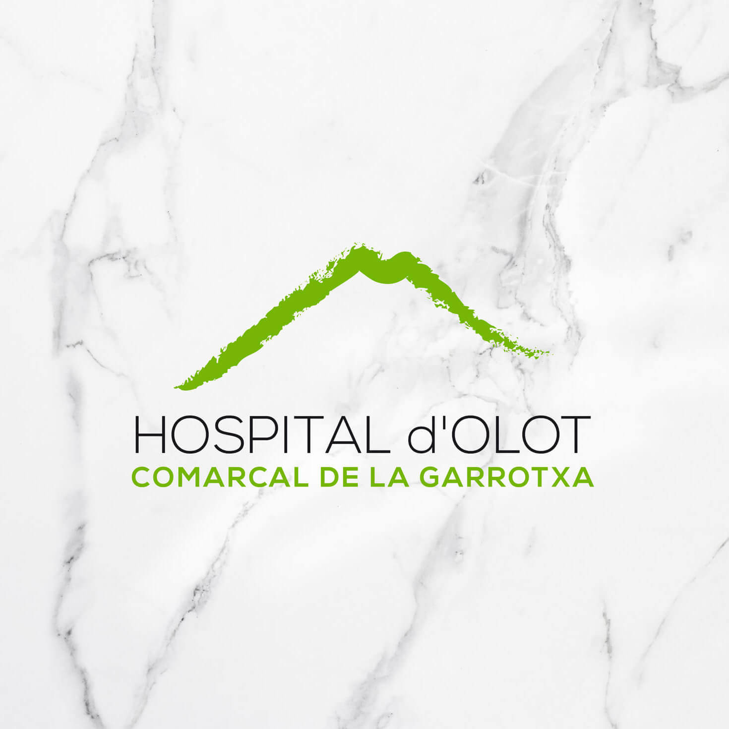 Hospital d’Olot i Comarcal de la Garrotxa | Mutuo Estudio